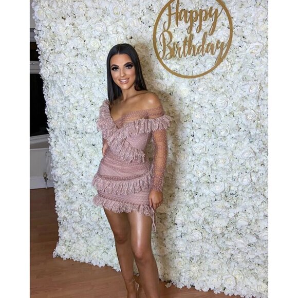 HOUSE OF CB Sorrel Tulle Asymmetric Minidress in Blush Size Small - Picture 12 of 13